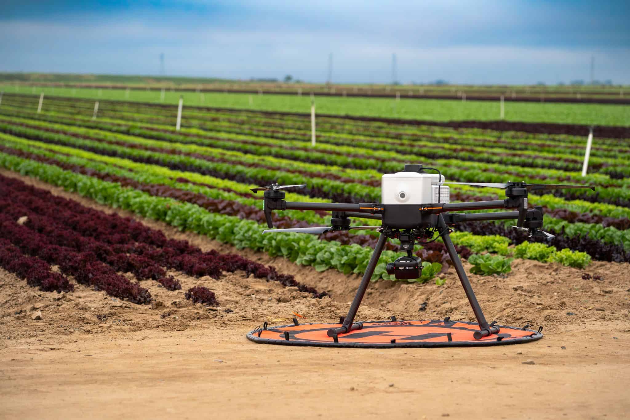 The Blue Eye Sensor Drone: Smart Irrigation for Customized Water Management